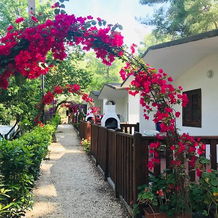 Camping Villaggio Internazionale San Menaio Exterior foto