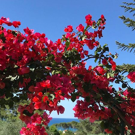 Camping Villaggio Internazionale San Menaio Exterior foto