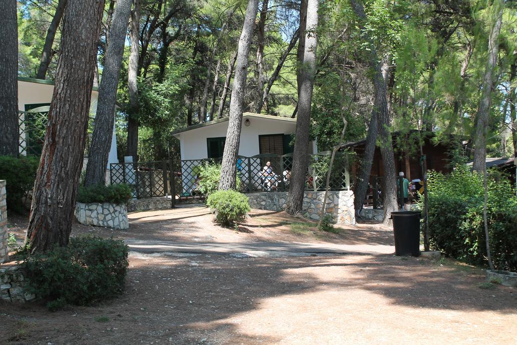Camping Villaggio Internazionale San Menaio Quarto foto